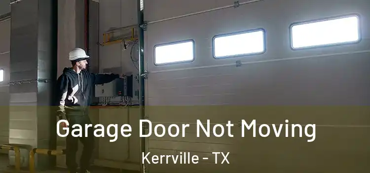  Garage Door Not Moving Kerrville - TX
